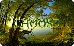 choice